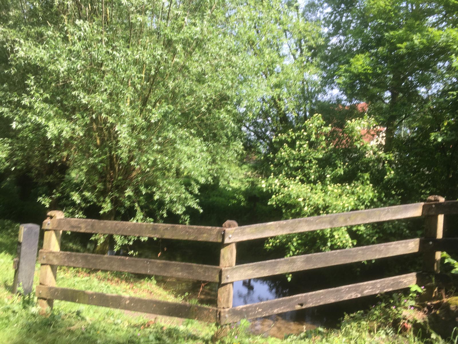 2024 05 21 SNC Wandern