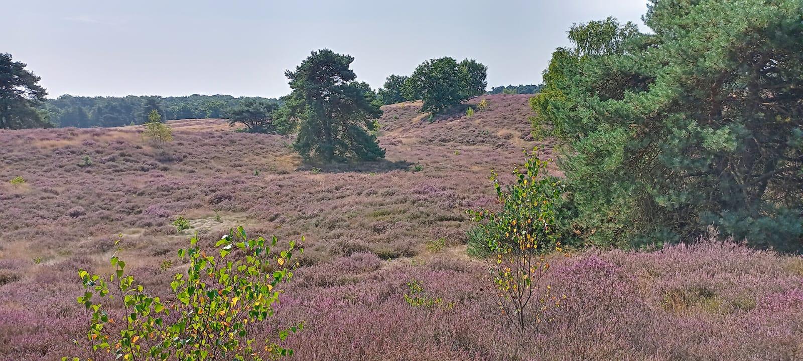 2025 08 15 SNC Wandern 0002