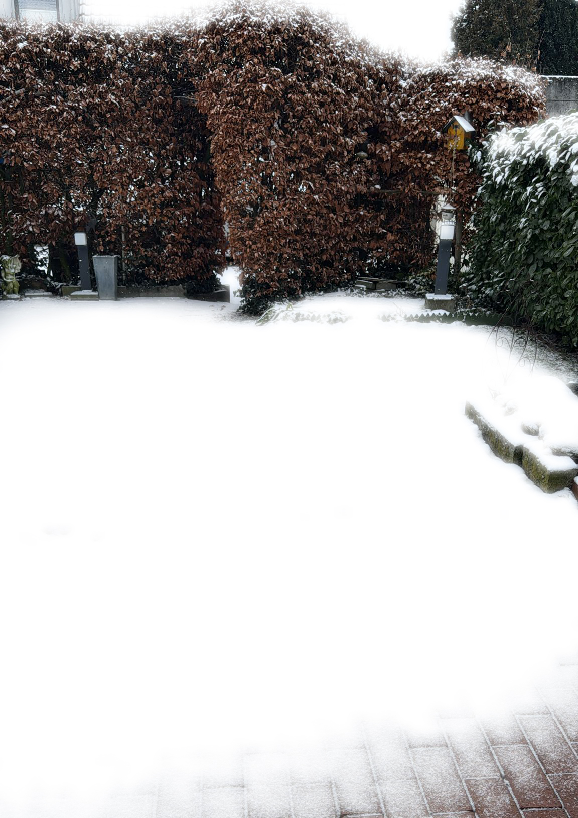 2026 01 10 Wintergarten 02